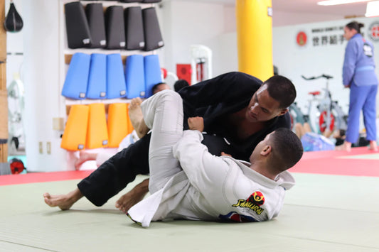 Fusion of Tradition Martial Arts Evolution