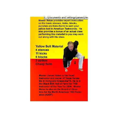 EclipseMartialArtsSupplies DVD Introduction to Taekwondo DVD by James Holan
