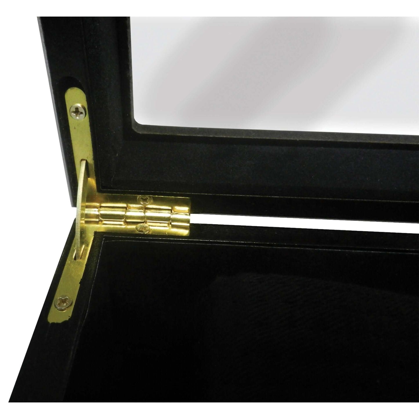 Belt Display Case martial arts karate