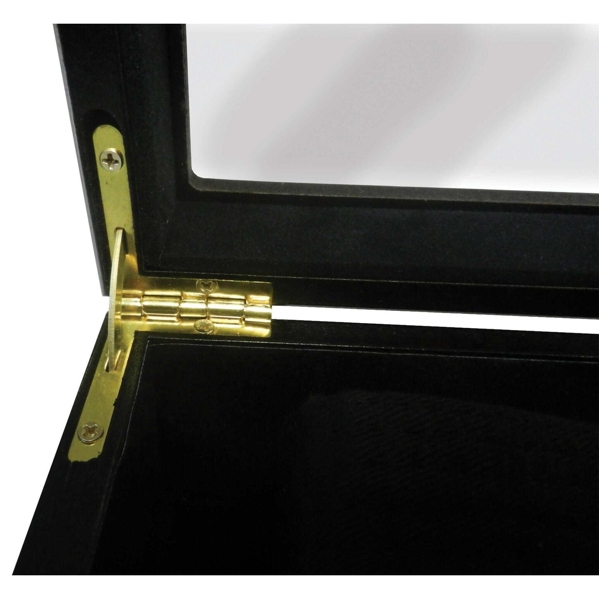 Belt Display Case martial arts karate