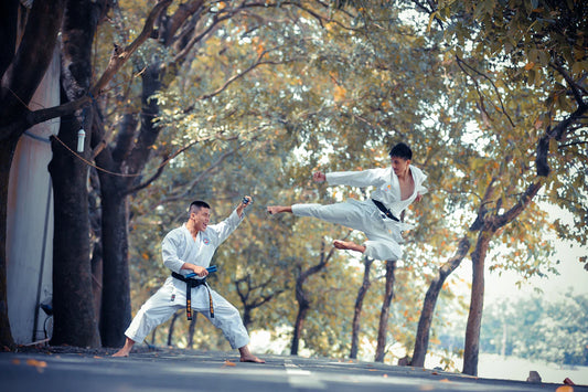Mental Health Benefits of Martial Arts Training
