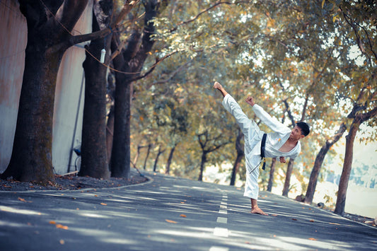 Martial Arts and Fitness A Perfect Combination