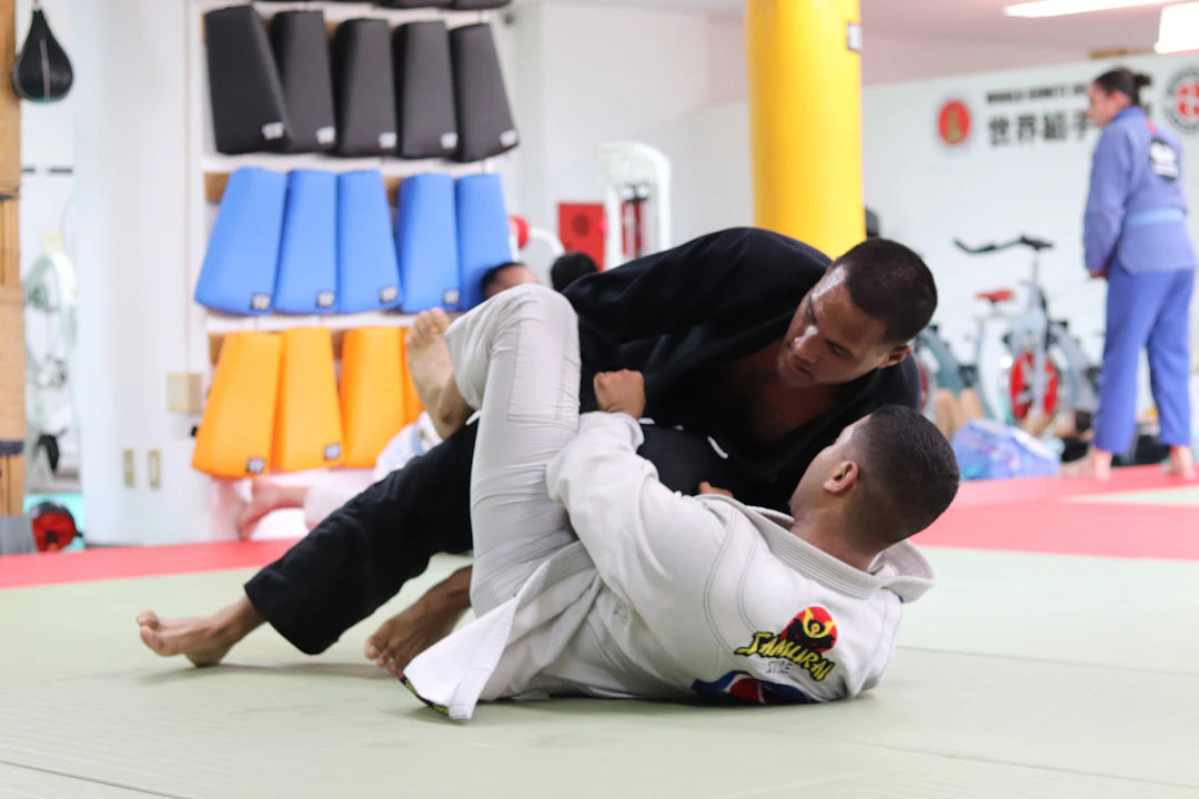 Fusion of Tradition Martial Arts Evolution