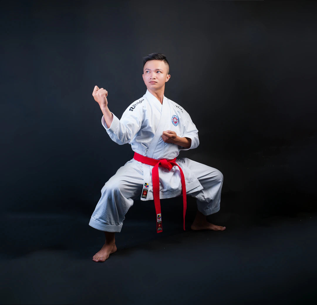 Elegant Martial Arts Apparel Showcasing Cultural Designs