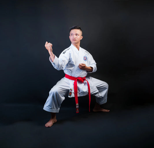 Elegant Martial Arts Apparel Showcasing Cultural Designs