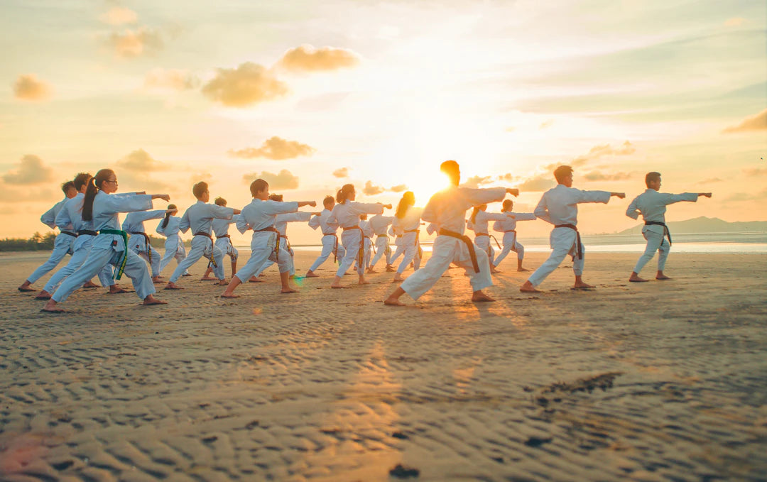 Explore Various Martial Arts Styles