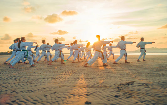 Explore the Diverse World of Martial Arts Styles