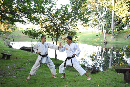Comprehensive Sparring Gear for Martial Arts Training