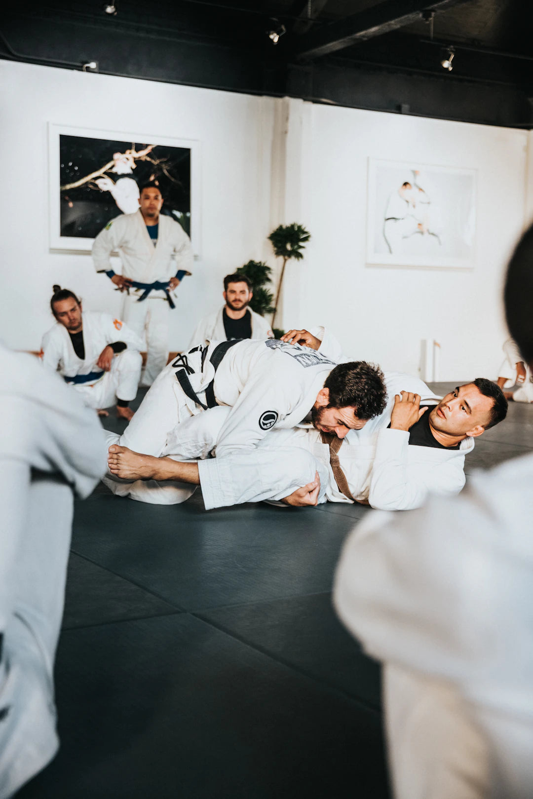 Harness the Power: Incorporating Martial Arts Principles into Your Daily Life