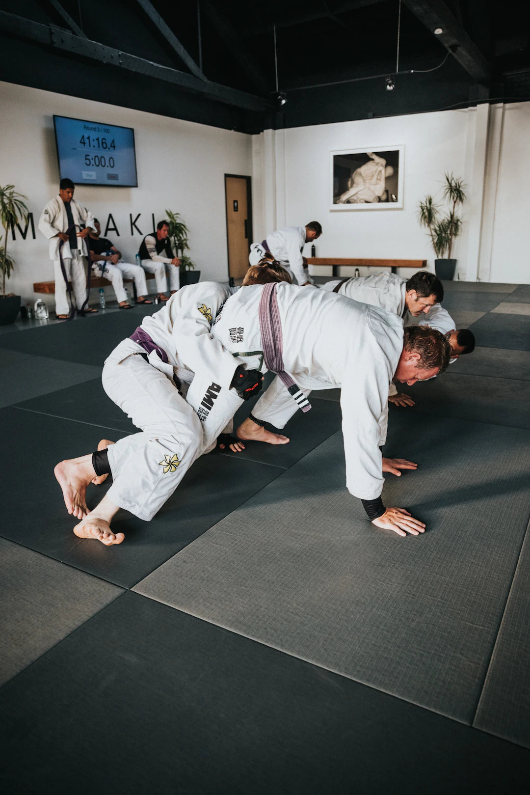 The Science Behind Martial Arts Techniques  Strategies