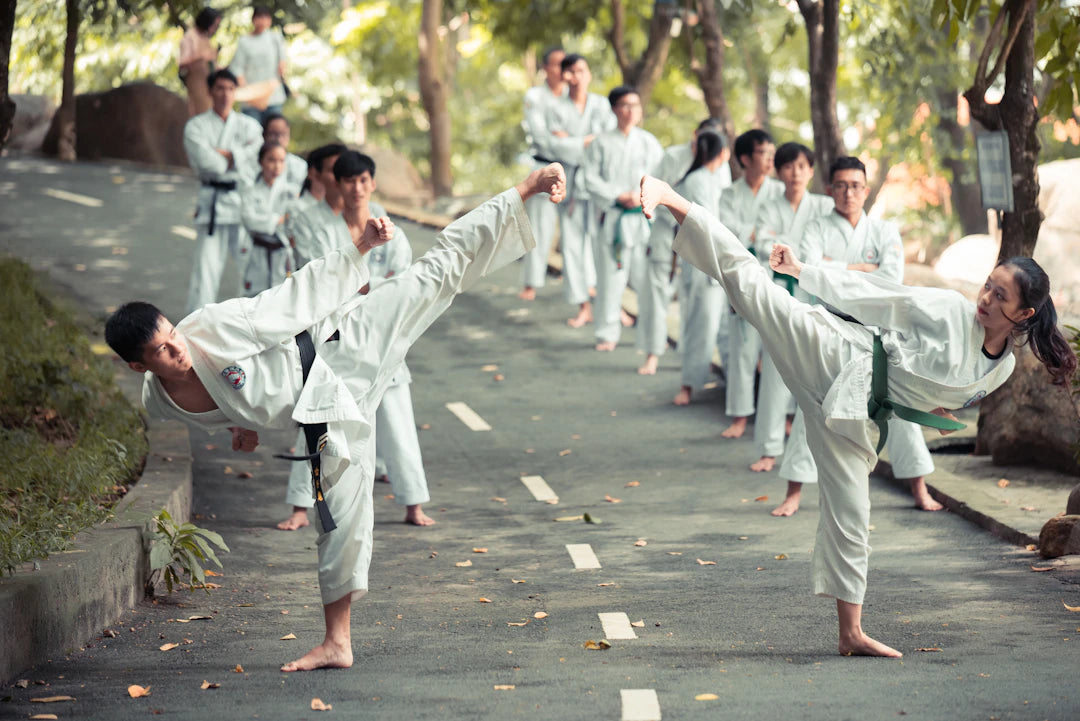 The Journey of Martial Arts From Roots to MMA