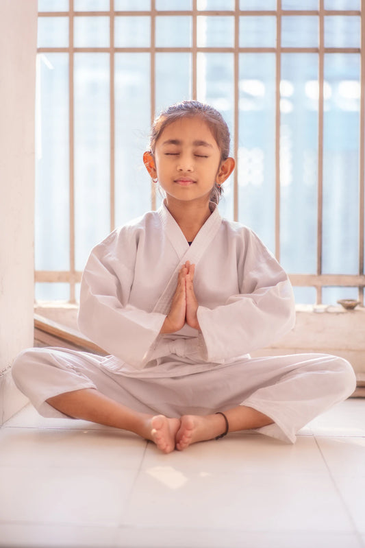 Boost Your Focus The Life-Changing Power of Martial Arts