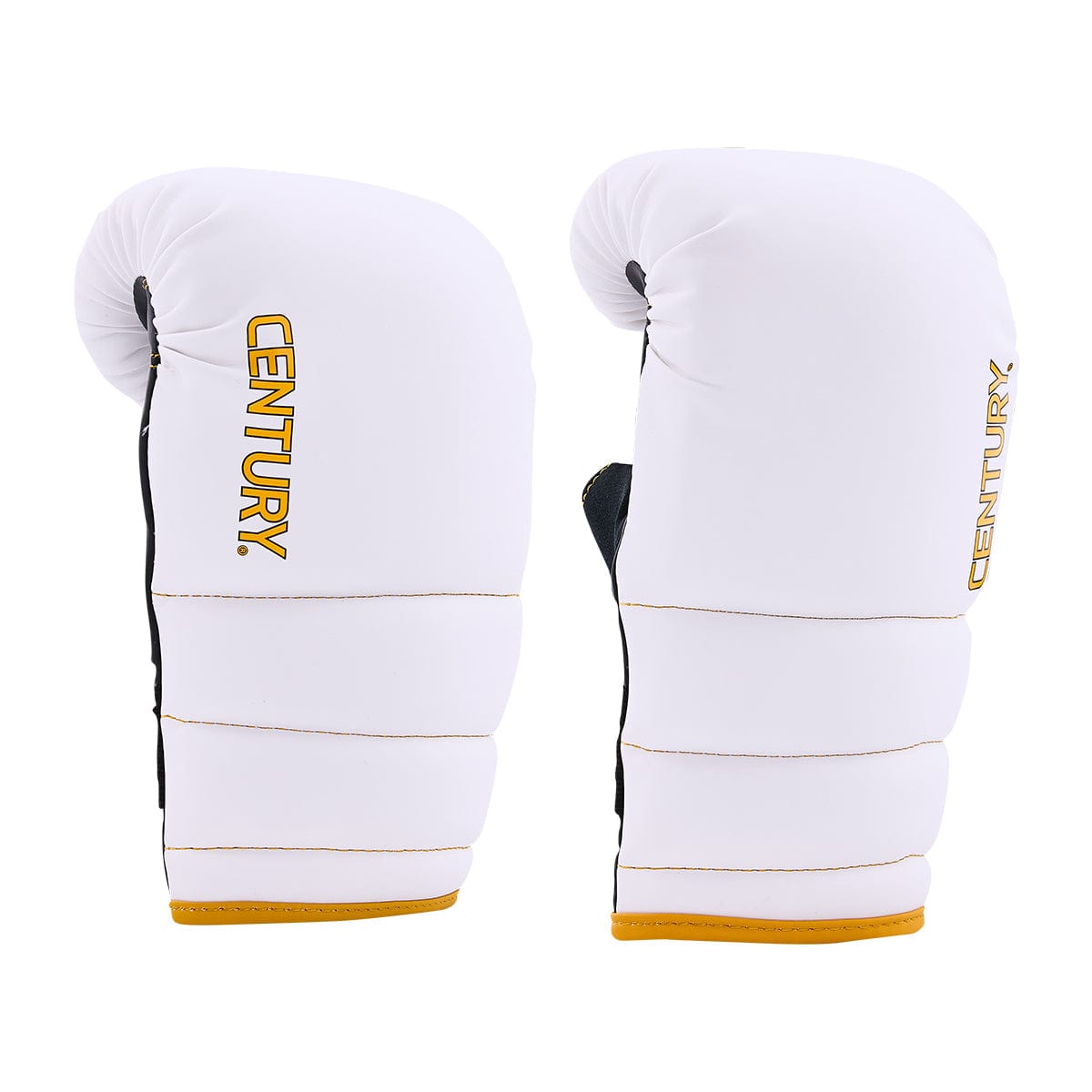 Century sporting goods Adult Partner Training Combo Glove and Mitts