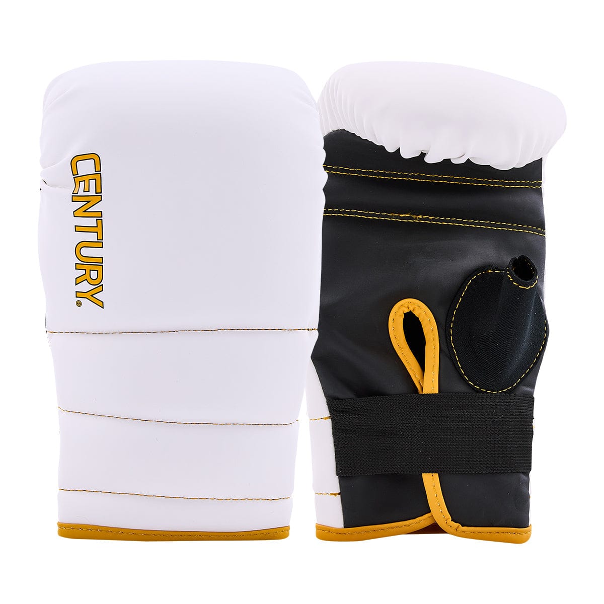 Century sporting goods Adult Partner Training Combo Glove and Mitts