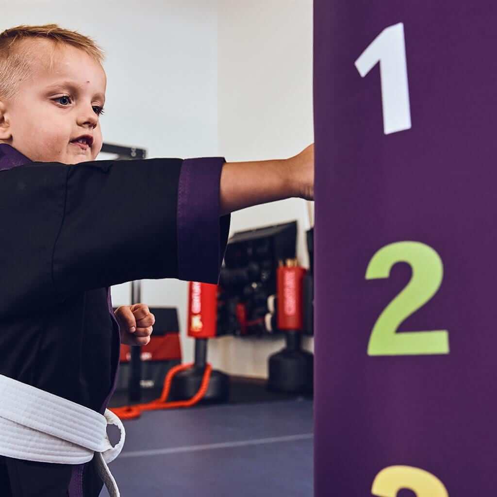 Century sporting goods Lil Dragon Wavemaster kids punching bag