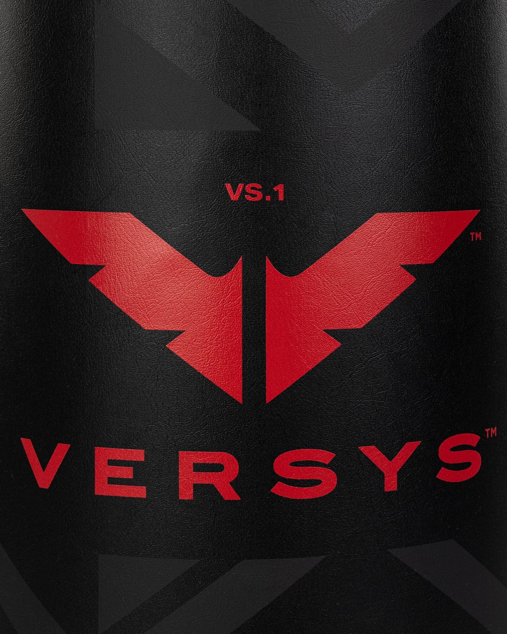 Century sporting goods Versys VS.1 Martial Arts Training Kicking