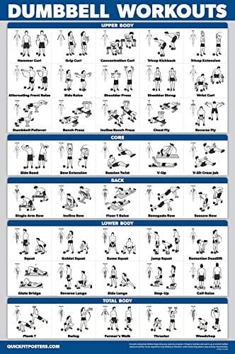 Eclipse Martial Art Supplies Fitness Wall Charts QuickFit 3 Pack - Dumbbell Workouts + Bodyweight Exercises + Stretching Routine Poster Set - Set of 3 Workout Charts