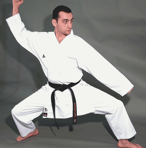 Eclipse Martial Art Supplies Sporting Goods ADIDAS MASTER GI KARATE UNIFORM WKF Approved