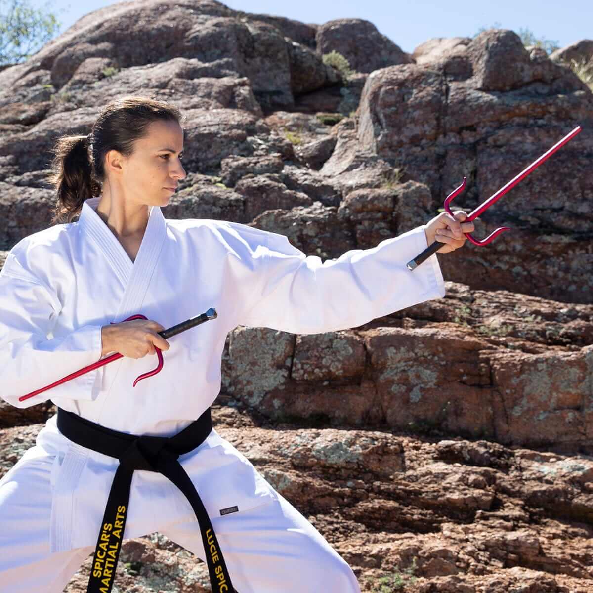 Eclipse Martial Art Supplies sporting goods ALUMINUM OCTAGON SAI Martial Arts