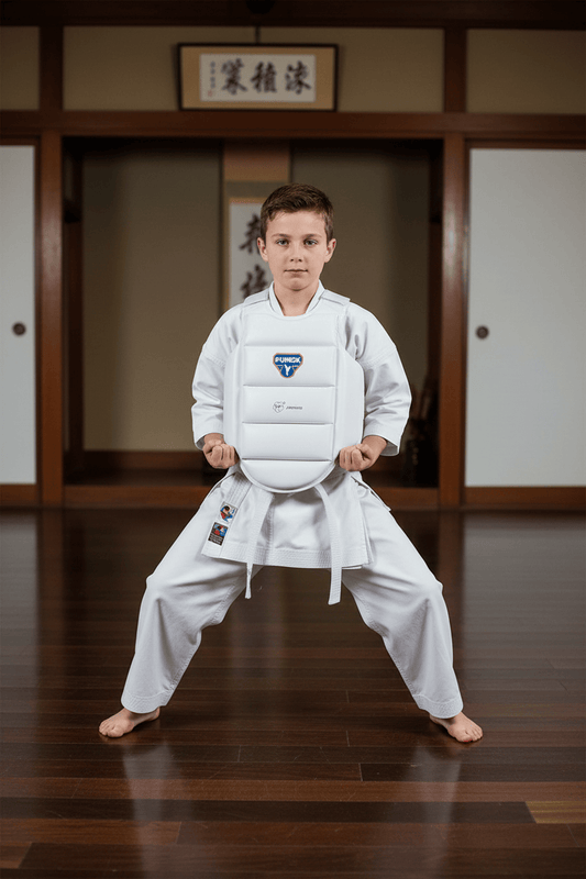 Eclipse Martial Art Supplies sporting goods Child Punok Youth WKF External Body Armour