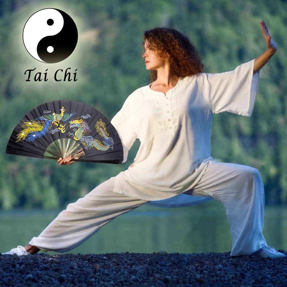EclipseMartialArtsSupplies sporting goods Traditional Kung Fu Performance Fan Tai Chi 13 inch