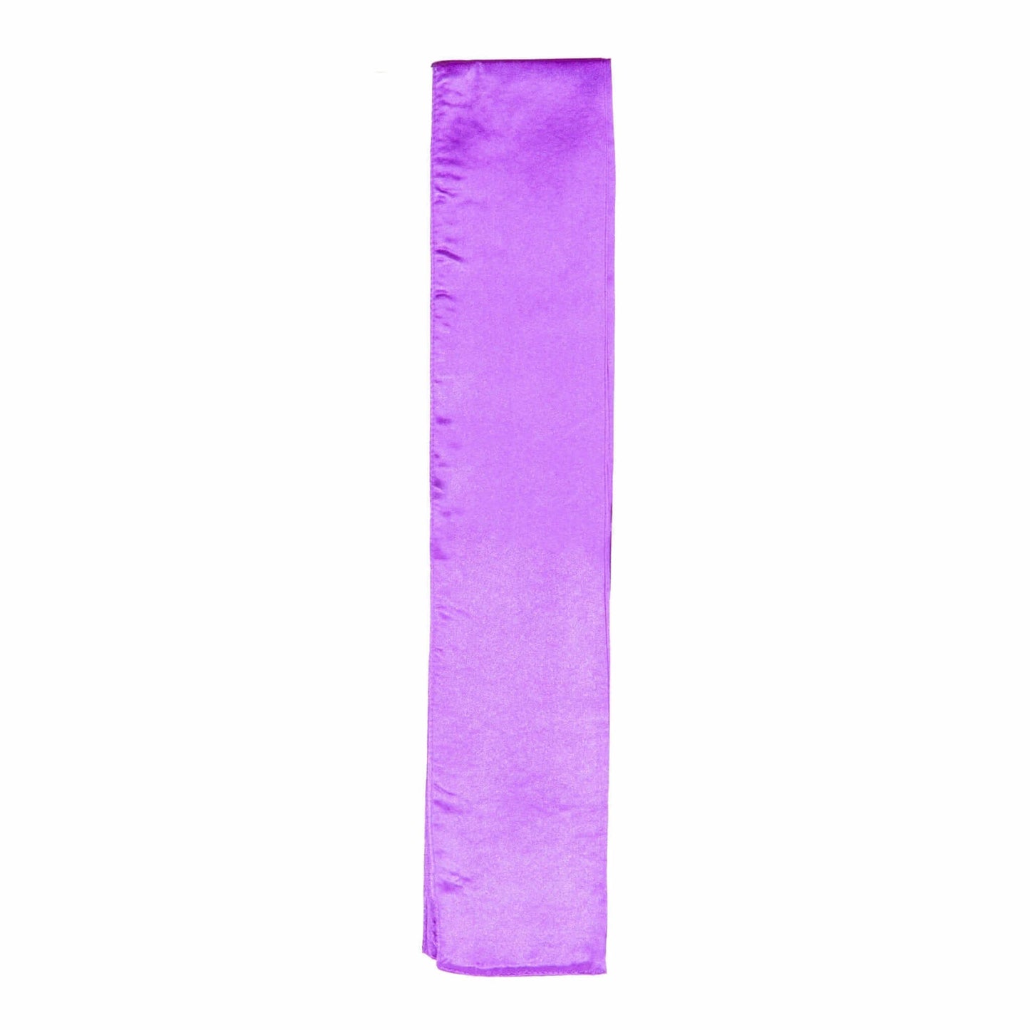 ProForce karate belt purple Kung Fu Nylon Sashes